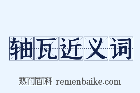 轴瓦近义词是什么意思的图片